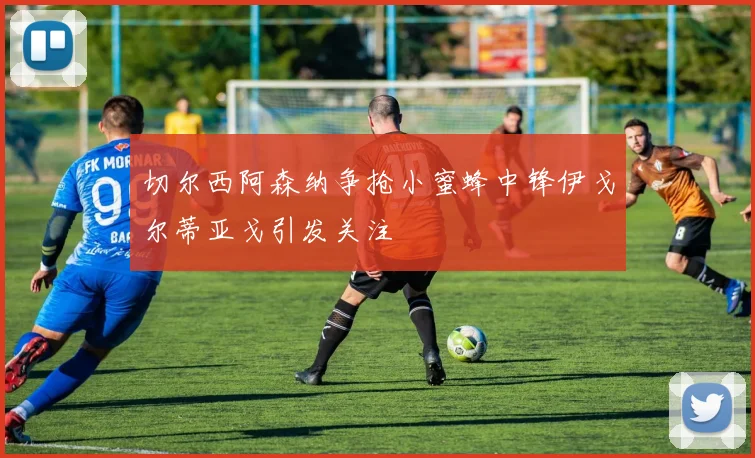 切尔西阿森纳争抢小蜜蜂中锋伊戈尔蒂亚戈引发关注